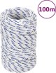 vidaXL Ναυτική τσαμπίδα, λευκή, 2 mm, 100 m, πολυπροπυλένιο