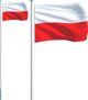 vidaXL vidaXL Flaga Polski z masztem, 6,23 m, aluminium
