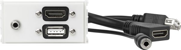 VivoLink Επιτοίχια Πλάκα HDMI + USB-A + Audio (WI221281)