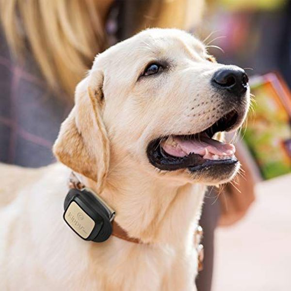 Vodafone V-Pet Kippy της Vodafone - εντοπιστής κατοικίδιων ζώων GPS για κατοικίδια ζώα + 3μηνο κουπόνι υπηρεσίας (δωρεάν πακέτο δεδομένων)