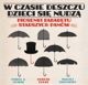 W czasie deszczu dzieci sie nudza CD