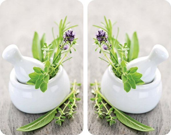 Γυάλινες προστατευτικές πλάκες HERB GARDEN για την κουζίνα – 2 τεμάχια, WENKO