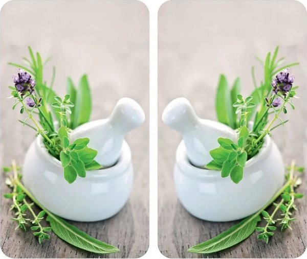 Γυάλινες προστατευτικές πλάκες HERB GARDEN για την κουζίνα – 2 τεμάχια, WENKO
