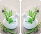 Γυάλινες προστατευτικές πλάκες HERB GARDEN για την κουζίνα – 2 τεμάχια, WENKO