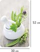 Γυάλινες προστατευτικές πλάκες HERB GARDEN για την κουζίνα – 2 τεμάχια, WENKO