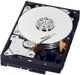 Western Digital Blue, 500 GB, 7200 RPM, 16 MB, 3.5", Serial ATA