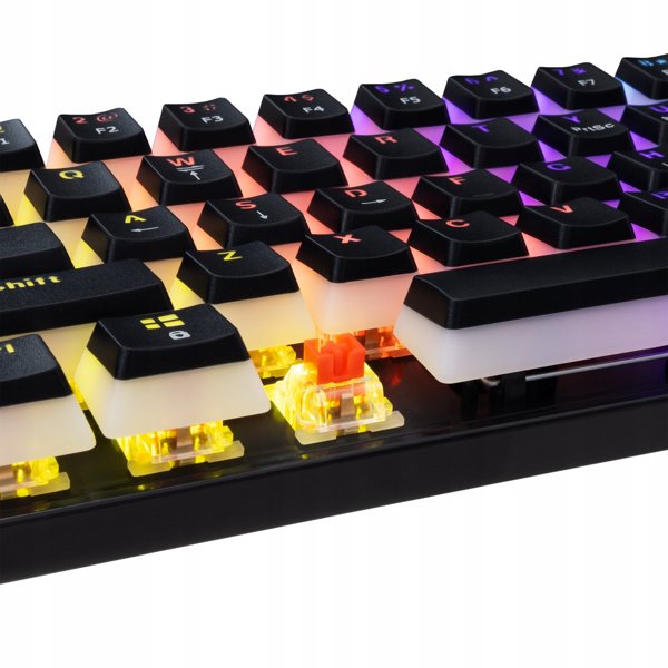 White Shark Ashiko-2 black US