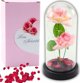 Wieczne Roze w Kopule z Oswietleniem LED i Platkami Rozowe 21x11cm