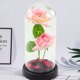 Wieczne Roze w Kopule z Oswietleniem LED i Platkami Rozowe 21x11cm