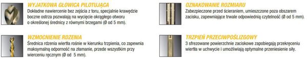 Τρυπάνι Dewalt κοβαλτούχο κυλινδρικό 10,5mm 10 τεμ. (DT4944)