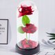 Wieczne 2 Roze w Kopule z Oswietleniem LED i Platkami Roz Czerwone 21x11cm