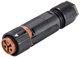 Wieland 46.031.4551.4 Rundstik Kobling, lige Serie (rundstikforbindelse): RST® MINI Samlet poltal: 2 1 stk
