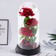 Wieczne 3 Roze w Kopule z Oswietleniem LED i Platkami Roz Czerwone 21x11cm