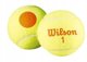 WILSON STARTER ORANGE BALLS ( 3 gb. )