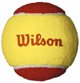 WILSON STARTER RED BALLS ( 12 gb. )