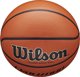 Wilson Evolution Game Μπάλα Μπάσκετ No. 7, Δερμάτινη, Πορτοκαλί, Εσωτερικού Χώρου (WTB0516XBEMEA)