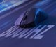 Wireless gaming mouse Delux M900 Ultra-Lightweight 2.4G 12000DPI