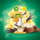 Wklad do elektrycznego odswiezacza AIR WICK wanilia-maslo shea 19ml