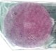 Wlok SCM Expert N477 100 Srd