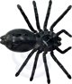 Woopie WOOPIE Remote Controlled Interactive Spider 13716806 5906280650179