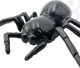 Woopie WOOPIE Remote Controlled Interactive Spider 13716806 5906280650179