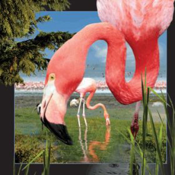 Worth-Keeping Pocztowka 3D Flaming