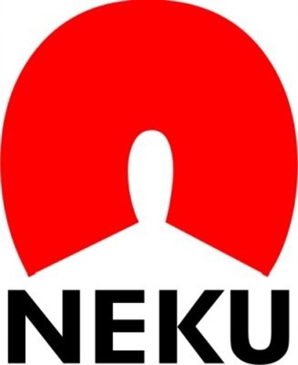 Βύσμα τηλεφώνου RJ14 4p/4c στενό Neku