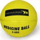YakimaSport Ιατρική Μπάλα Γυμναστικής 3kg - 8229296
