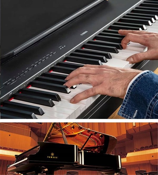 Yamaha Yamaha P-225B - Pianino cyfrowe