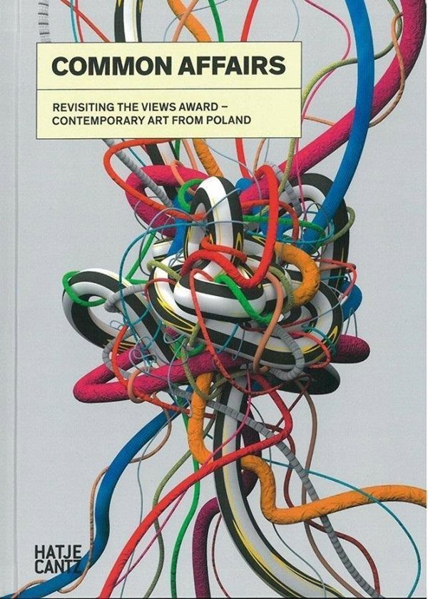 Zachem Common Affairs. Revisiting the Views Award...