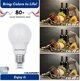 Λάμπα Blaupunkt LED E27 A65 18W NW