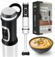 ZEEGMA ZE-HANDY BASE Rokas blenderis 1500W