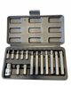 Σετ Bits Torx 15 τμχ T20-T55 (Μήκος: 30/75mm)