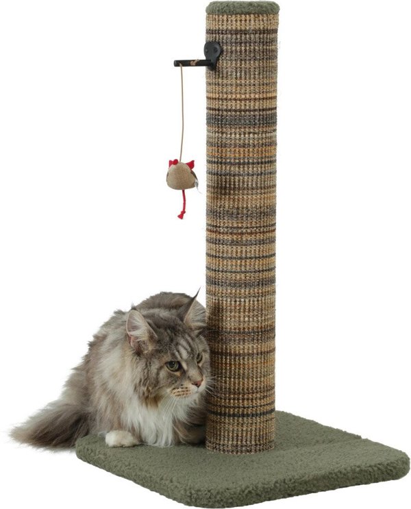 ZOLUX Scratcher για γάτες Νομισματική πρωτοβουλία BOREAL M 60 cm πράσινο