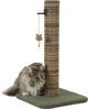 ZOLUX Scratcher για γάτες Νομισματική πρωτοβουλία BOREAL M 60 cm πράσινο