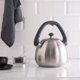 Βραστήρας Zwieger Visionary 3L, Ανοξείδωτος, Ασημί
