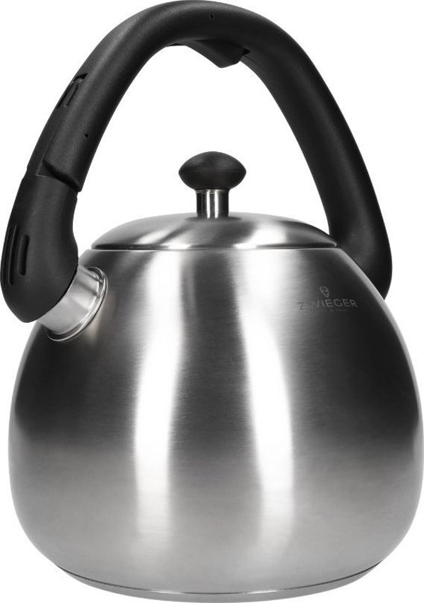 Βραστήρας Zwieger Visionary 3L, Ανοξείδωτος, Ασημί