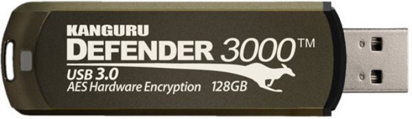Pendrive iStorage Kanguru Defender 3000 128GB